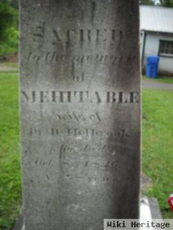 Mehitable Wells Holbrook