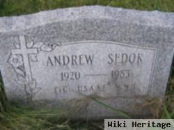 Andrew Sedok