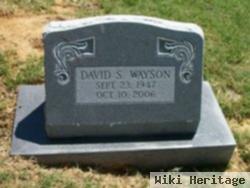 David S Wayson