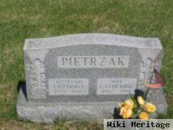 Anthony J Pietrzak