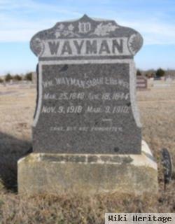 Sarah E. Wayman