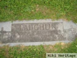 Robert R Laughlin