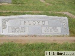 Alva Lee Floyd