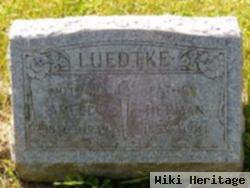 Herman H Luedtke