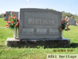 Lyle V. Jenkins