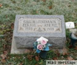 Gail M Leinenbach