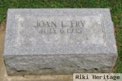 Joan L Fry