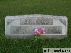 Wesley Briggs