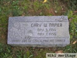 Gary W. Napier