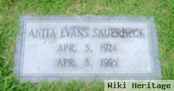 Anita Evans Sauerbeck