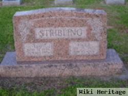 William Leo Stribling