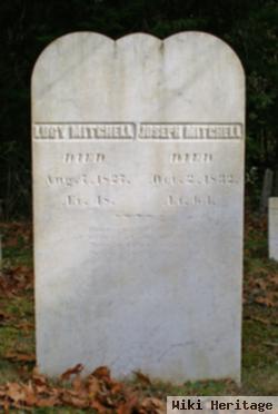 Lucy Lombard Mitchell