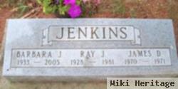 Ray J. Jenkins