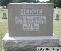 Sarah E. Gill Hedge