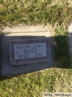 Milton James Riggs