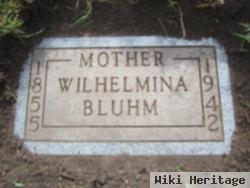 Wilhelmina A Bluhm