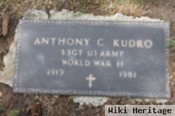 Anthony C Kudro