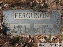 Larkin Ferguson