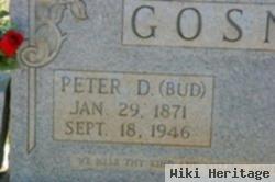 Peter "bud" Davis Gosnell