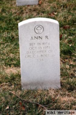 Ann R Boul