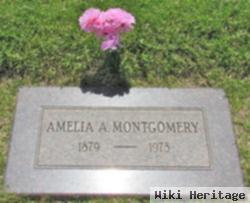 Amelia A Montgomery