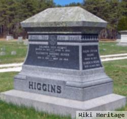 Ralph Stetson Higgins