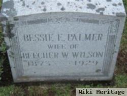 Bessie E "betsey" Palmer Wilson