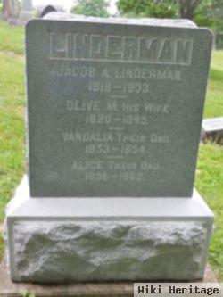 Jacob A. Linderman