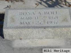 Rosa A Boll