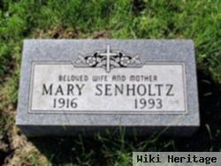 Mary Senholtz