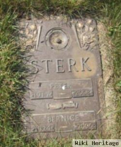 Peter Sterk