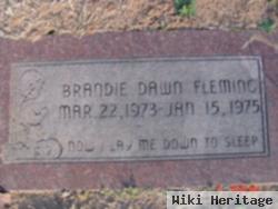 Brandie Dawn Fleming