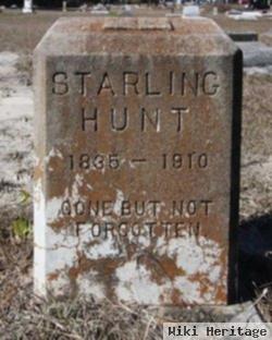 Starling Hunt