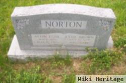 Albin Estil Norton