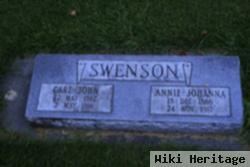 Anna Johanna Anderson Swenson