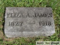 Eliza Ann Knowlton James