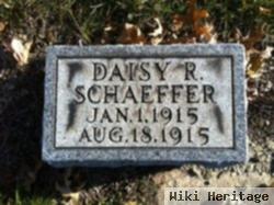 Daisy R. Schaeffer