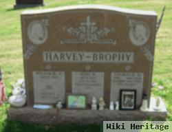 William H Harvey, Jr
