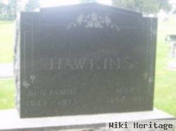 Mary Ann Hill Hawkins