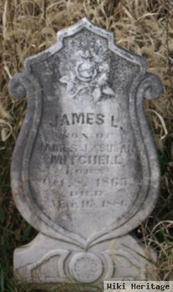 James L Mitchell