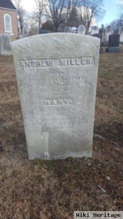 Mary Mccoy Miller