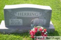 William J. Herring