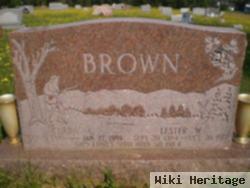 Lester W Brown