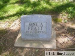 Jane Ann Platt