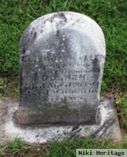 Elizabeth Ellen Goshen