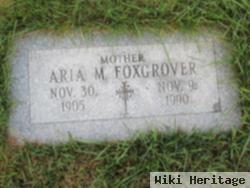 Aria M. Foxgrover