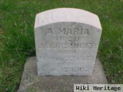 Maria Bursinger