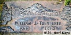 William J Trenberth