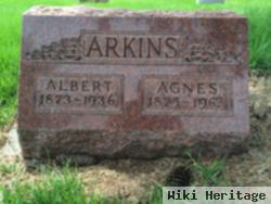 Albert Arkins