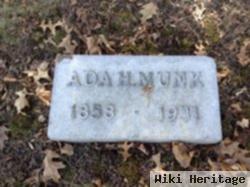 Ada H. Munk